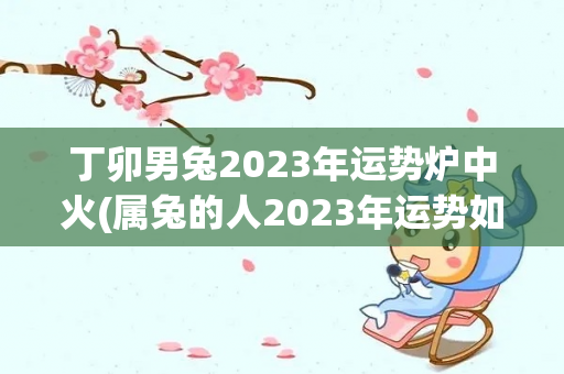 丁卯男兔2023年运势炉中火(属兔的人2023年运势如何)