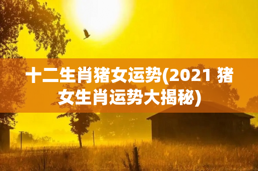 十二生肖猪女运势(2021 猪女生肖运势大揭秘)