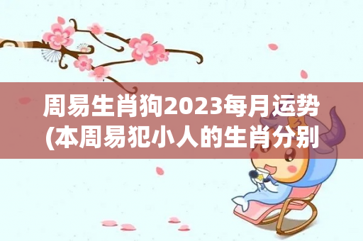 周易生肖狗2023每月运势(本周易犯小人的生肖分别是谁，生肖狗2023年5月运势)