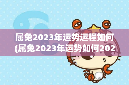 属兔2023年运势运程如何(属兔2023年运势如何2023年运程如何)