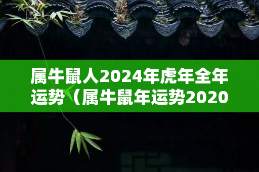 属牛鼠人2024年虎年全年运势（属牛鼠年运势2020下半年运势详解）