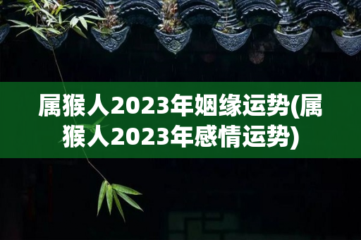 属猴人2023年姻缘运势(属猴人2023年感情运势)