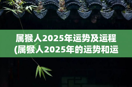 属猴人2025年运势及运程(属猴人2025年的运势和运程预测)-第1张图片-星缘配
