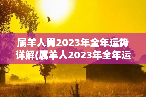 属羊人男2023年全年运势详解(属羊人2023年全年运势详解)