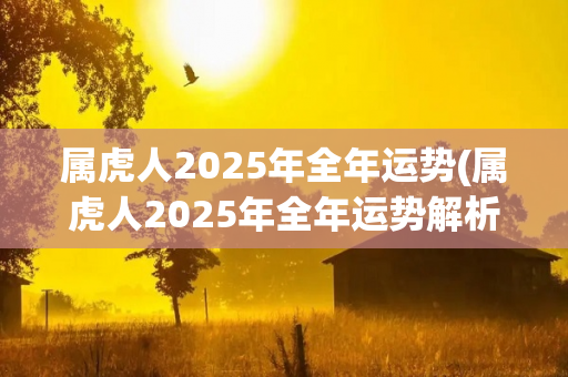 属虎人2025年全年运势(属虎人2025年全年运势解析)