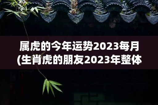 属虎的今年运势2023每月(生肖虎的朋友2023年整体运程进入2023年)