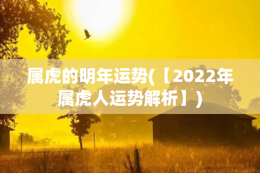 属虎的明年运势(【2022年属虎人运势解析】)