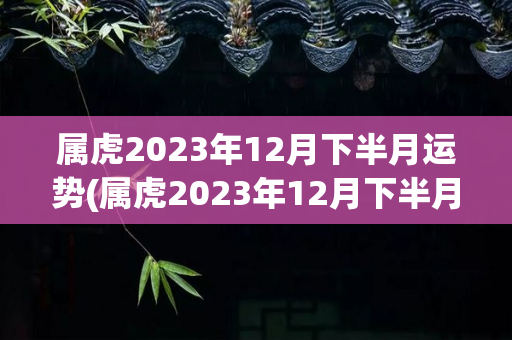 属虎2023年12月下半月运势(属虎2023年12月下半月运势，快来看看)