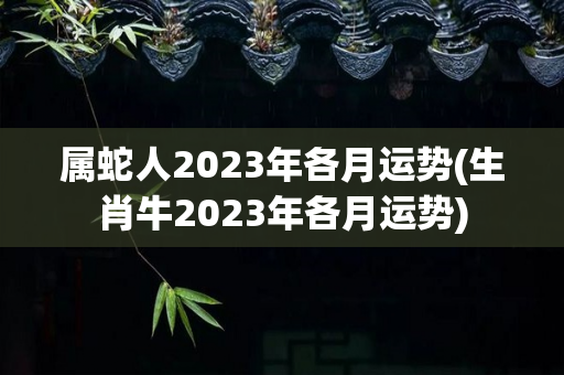 属蛇人2023年各月运势(生肖牛2023年各月运势)-第1张图片-星缘配