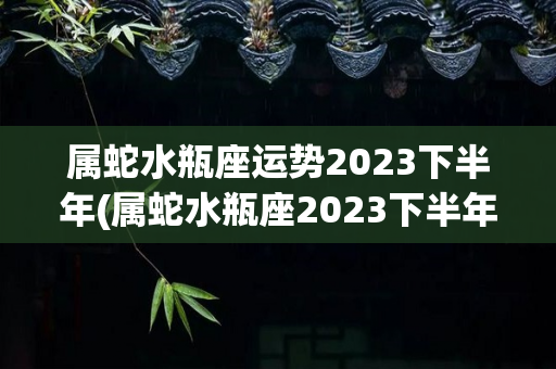 属蛇水瓶座运势2023下半年(属蛇水瓶座2023下半年运势)