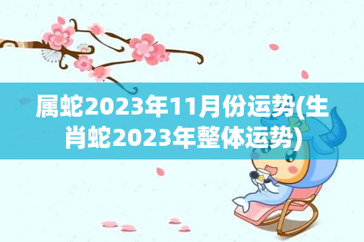 属蛇2023年11月份运势(生肖蛇2023年整体运势)