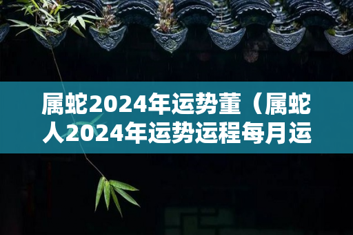 属蛇2024年运势董（属蛇人2024年运势运程每月运程）