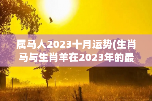 属马人2023十月运势(生肖马与生肖羊在2023年的最后一个月)
