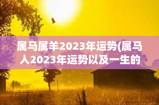 属马属羊2023年运势(属马人2023年运势以及一生的命运)