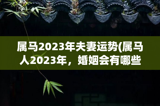属马2023年夫妻运势(属马人2023年，婚姻会有哪些方面的问题)