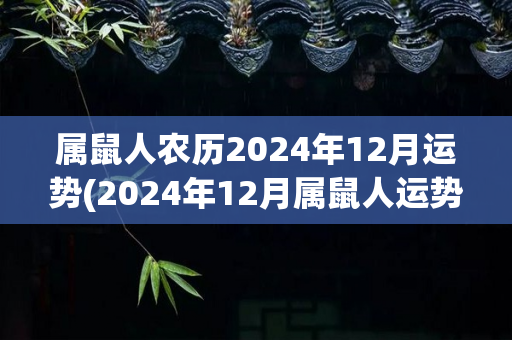 属鼠人农历2024年12月运势(2024年12月属鼠人运势展望)