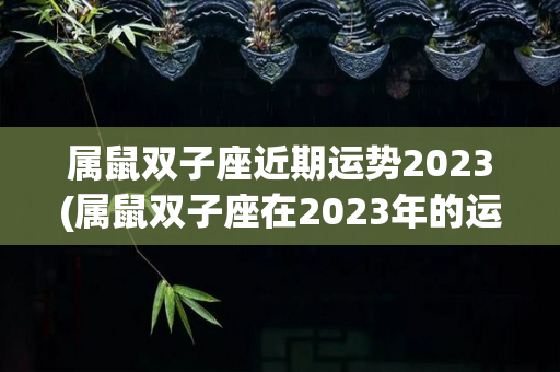 属鼠双子座近期运势2023(属鼠双子座在2023年的运势如何)-第1张图片-星缘配
