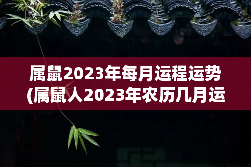 属鼠2023年每月运程运势(属鼠人2023年农历几月运势)
