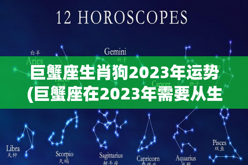 巨蟹座生肖狗2023年运势(巨蟹座在2023年需要从生活里得到什么？)