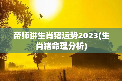 帝师讲生肖猪运势2023(生肖猪命理分析)