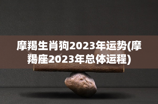 摩羯生肖狗2023年运势(摩羯座2023年总体运程)
