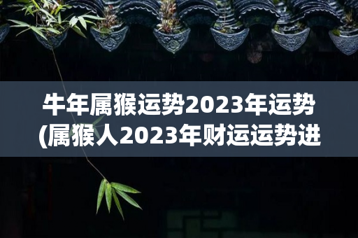 牛年属猴运势2023年运势(属猴人2023年财运运势进入2023年)-第1张图片-星缘配