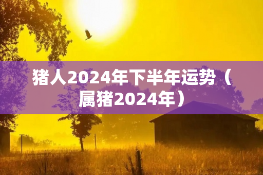 猪人2024年下半年运势（属猪2024年）