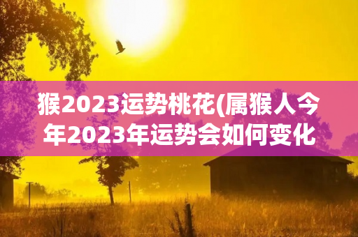 猴2023运势桃花(属猴人今年2023年运势会如何变化2023年运势)