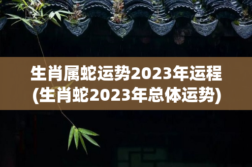 生肖属蛇运势2023年运程(生肖蛇2023年总体运势)-第1张图片-星缘配
