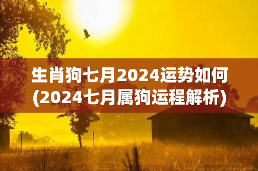 生肖狗七月2024运势如何(2024七月属狗运程解析)-第1张图片-星缘配