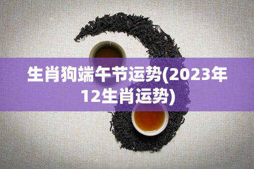 生肖狗端午节运势(2023年12生肖运势)
