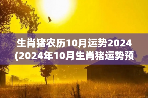 生肖猪农历10月运势2024(2024年10月生肖猪运势预测)