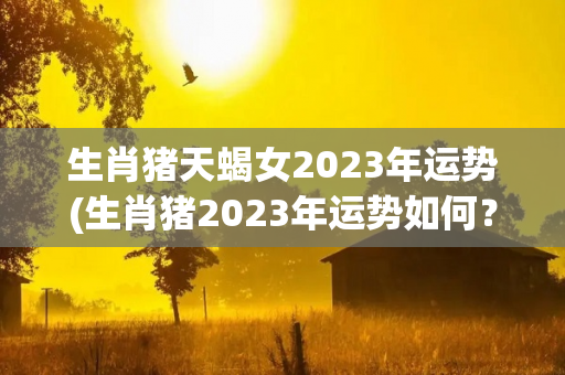 生肖猪天蝎女2023年运势(生肖猪2023年运势如何？)-第1张图片-星缘配