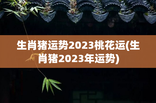 生肖猪运势2023桃花运(生肖猪2023年运势)