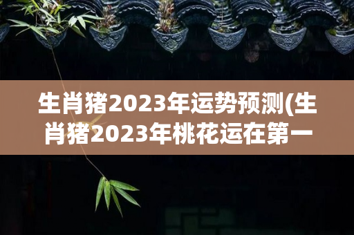 生肖猪2023年运势预测(生肖猪2023年桃花运在第一，但却因为缺乏自信)