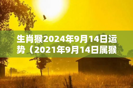 生肖猴2024年9月14日运势（2021年9月14日属猴运势）