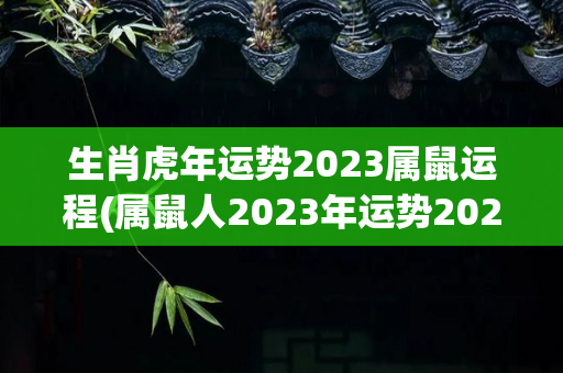 生肖虎年运势2023属鼠运程(属鼠人2023年运势2023年)