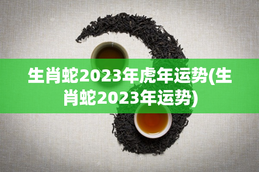 生肖蛇2023年虎年运势(生肖蛇2023年运势)