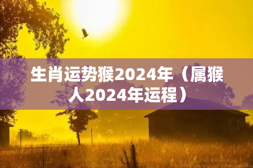 生肖运势猴2024年（属猴人2024年运程）-第1张图片-星缘配