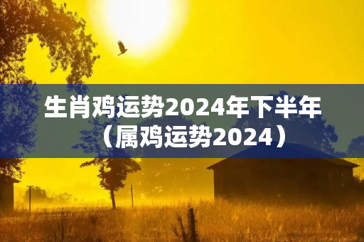 生肖鸡运势2024年下半年（属鸡运势2024）