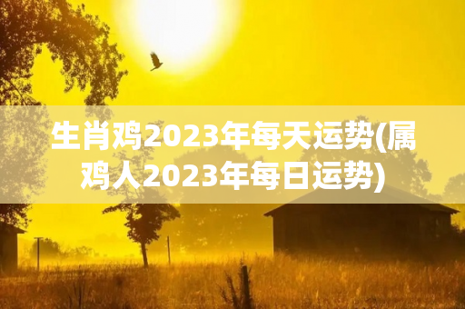 生肖鸡2023年每天运势(属鸡人2023年每日运势)