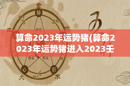 算命2023年运势猪(算命2023年运势猪进入2023壬寅虎年)