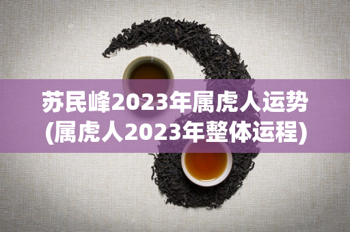 苏民峰2023年属虎人运势(属虎人2023年整体运程)