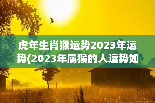 虎年生肖猴运势2023年运势(2023年属猴的人运势如何？)