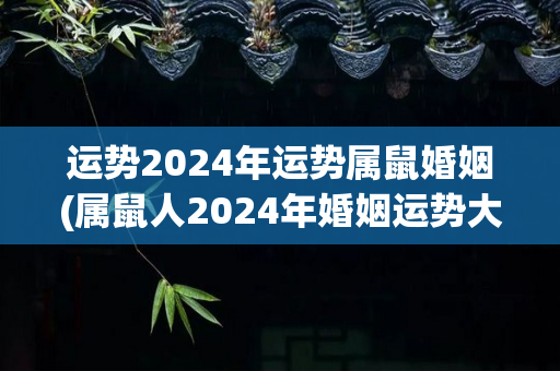 运势2024年运势属鼠婚姻(属鼠人2024年婚姻运势大揭秘)