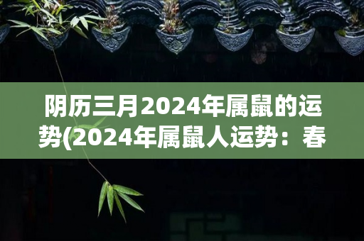 阴历三月2024年属鼠的运势(2024年属鼠人运势：春季旺，要保持谦虚。)