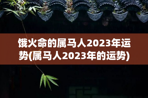 饿火命的属马人2023年运势(属马人2023年的运势)