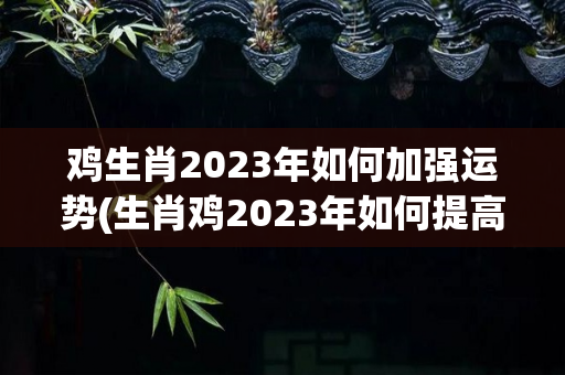 鸡生肖2023年如何加强运势(生肖鸡2023年如何提高运势)