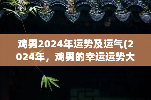 鸡男2024年运势及运气(2024年，鸡男的幸运运势大揭秘！)