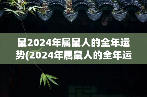 鼠2024年属鼠人的全年运势(2024年属鼠人的全年运势预测)